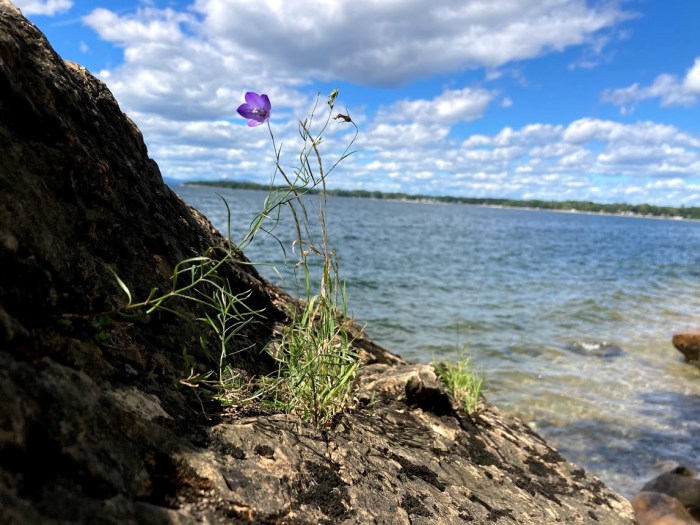 Pt. 2 | Bedrock to Birds: Plants, Animals, And Human&nbsp;History