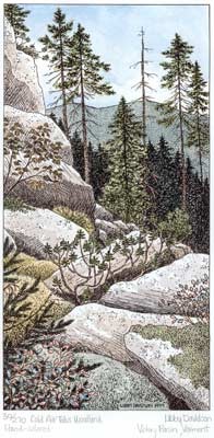 coldairtalus_illustration