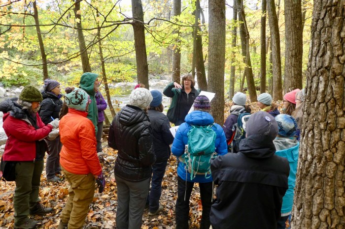 44280321810_fe74d59d1d_o