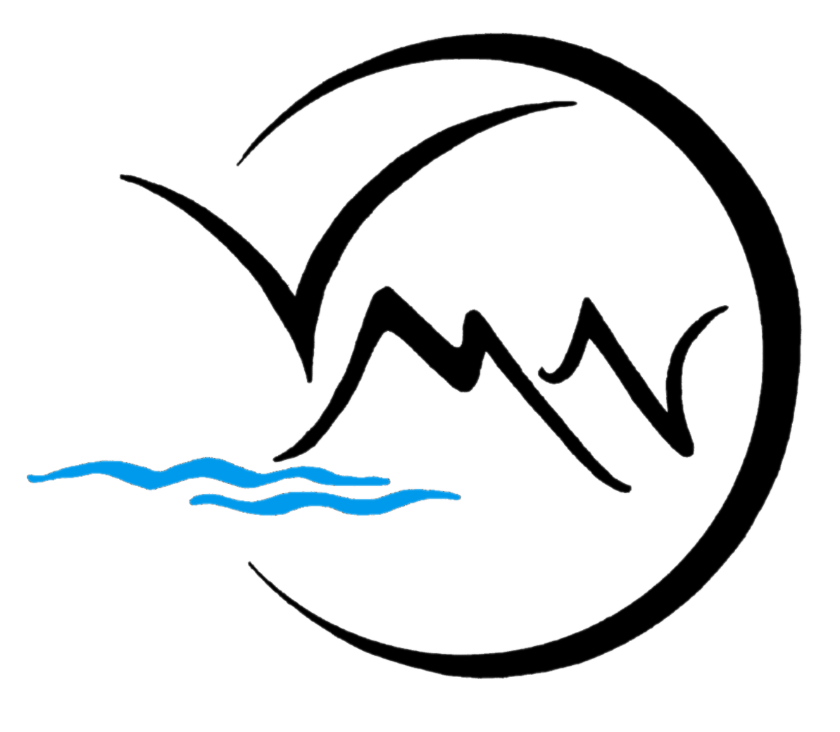 vmnlogoblue.png