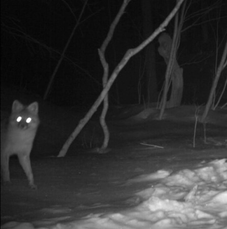 Image 3-12-19 at 12.59 PM