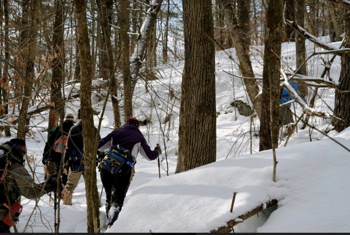 Image 3-9-19 at 7.23 AM