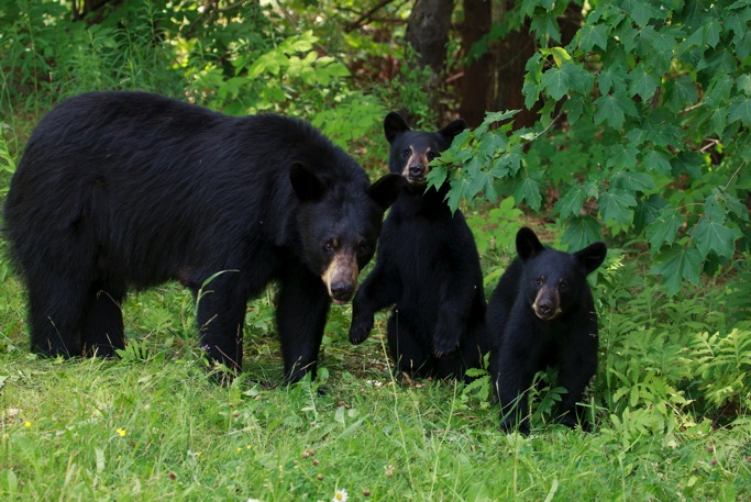 Image 5-16-19 at 7.47 AM