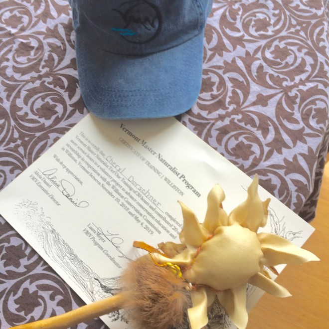 60431780_10157701447112137_542331546305036288_o