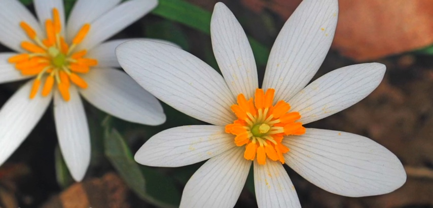 Image 5-9-20 at 8.16 PM