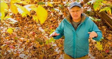 Image 11-29-20 at 10.01 AM