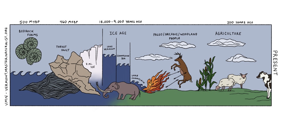 Artwork by Lorna Dielentheis