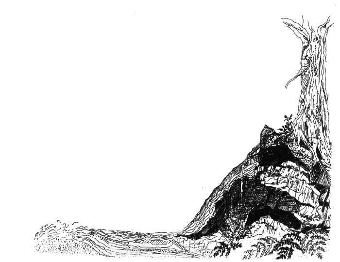 A Question of&nbsp;Scale