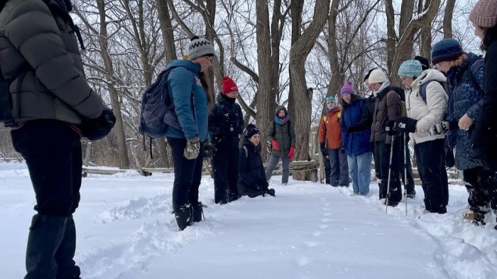 Winter tracks and&nbsp;trees
