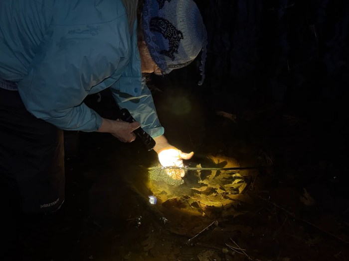 Vernal Pools & Phenological&nbsp;Traditions