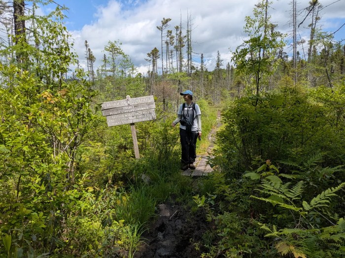 An afternoon at Peacham&nbsp;Bog