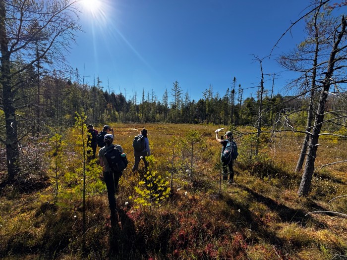 Vermont Master Naturalist: Collective Learning, Shared&nbsp;Magic